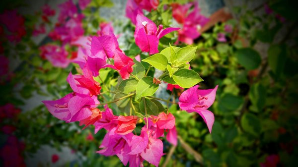 Vente de maison : le guide ultime pour les seniors