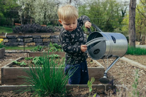 Top 10 accessoires de jardin pour un jardinage optimal